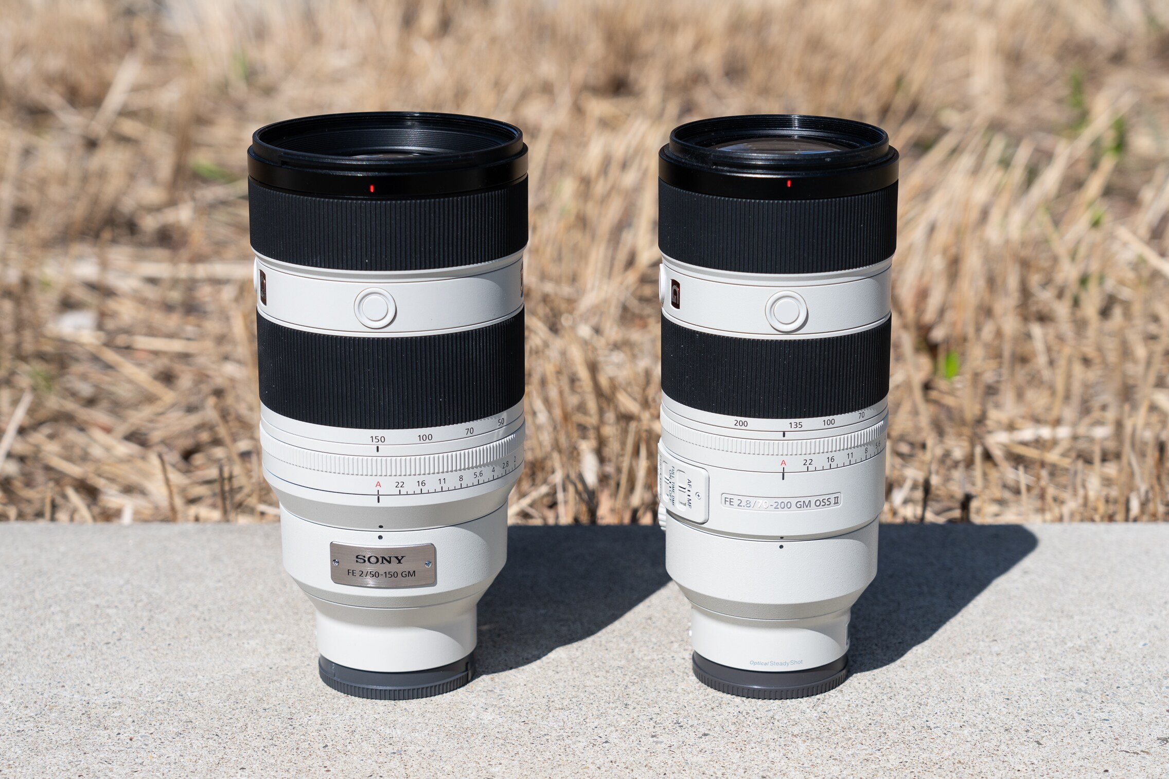 Sony FE 50-150 mm F2 GM: versatile light monster - Digitec