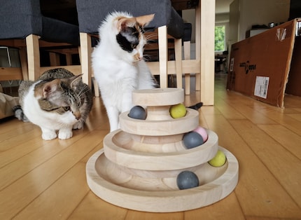 Even the sluggish mourning mosquito next door is more interesting than the ball tower.