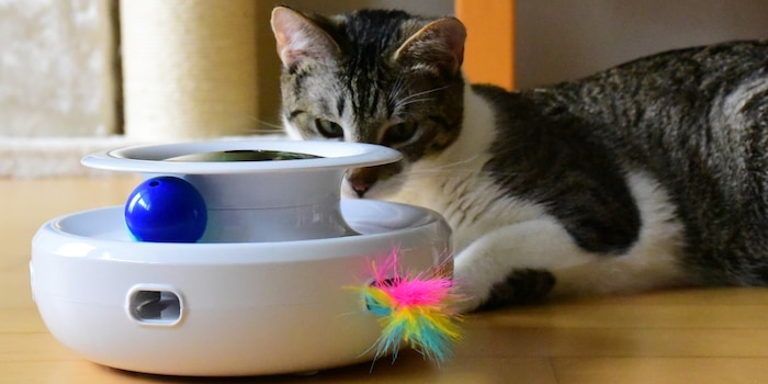 Darina Schweizer Darina Schweizer