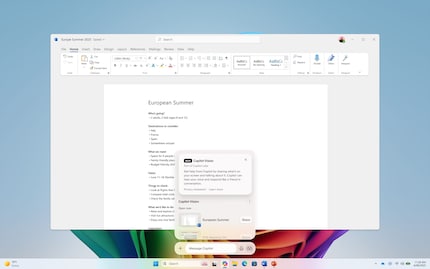 Copilot Vision on sale.
