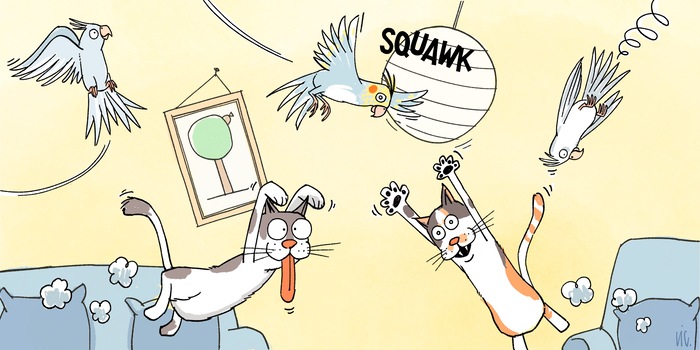 Stephan Lütolf Stephan Lütolf