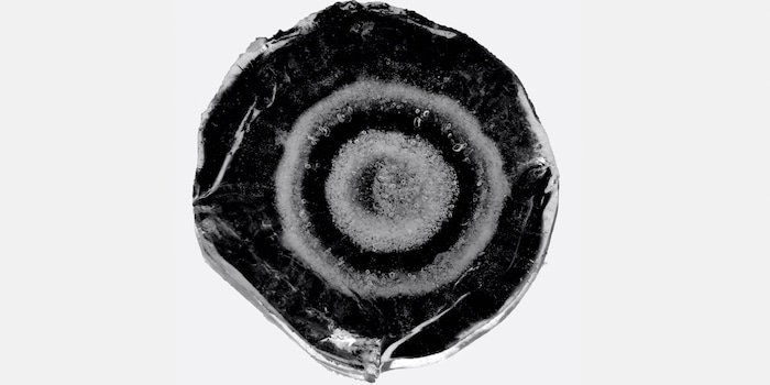 Xiangyu Lin, Université de Pékin, Pékin