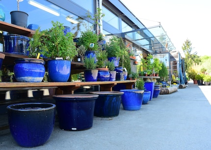 Quelle est la valeur d’un pot de fleurs d’occasion ? C’est subjectif.