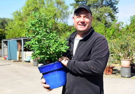 Christian Dütschler n’aide pas que les plantes à grandir.