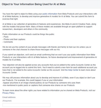 To lodge your objection on Instagram or Facebook, all you have to do is enter your e-mail address.