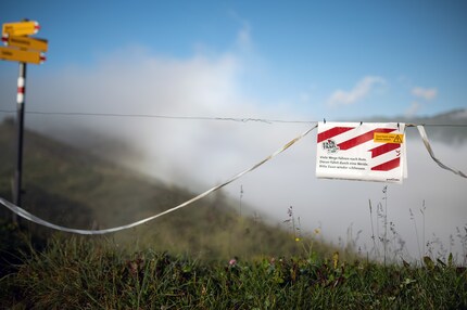 Simple rules of behaviour for relaxed coexistence.