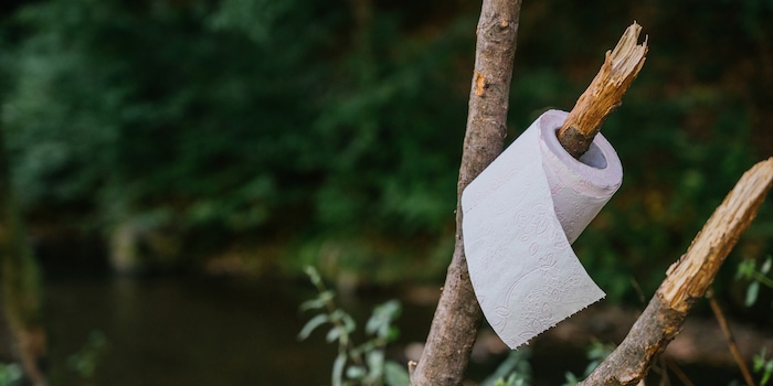 Shutterstock / Irving Sandoval Shutterstock / Irving Sandoval