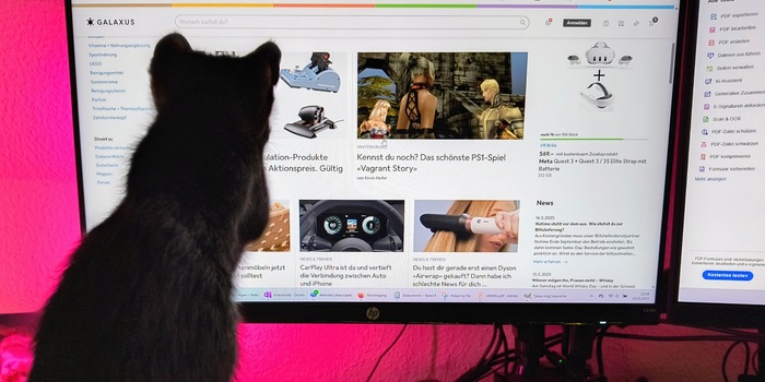 Debora Pape / Balu attrape le curseur de la souris sur mon écran