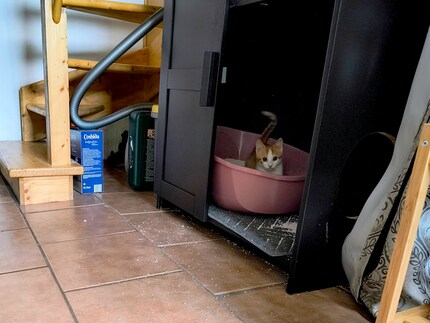 Bonnie, prise en flagrant délit.