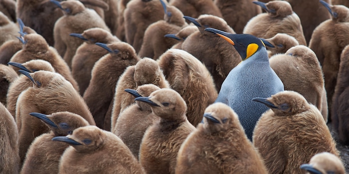 Shutterstock / Jeremy Richards Shutterstock / Jeremy Richards