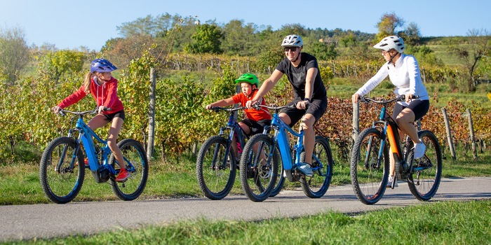 Shutterstock / JRP Studio