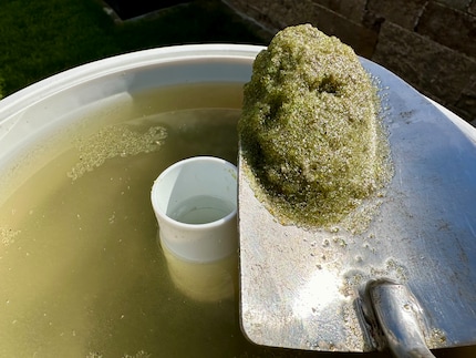 A fine stagione, la sabbia è solo un fango poco appetibile.