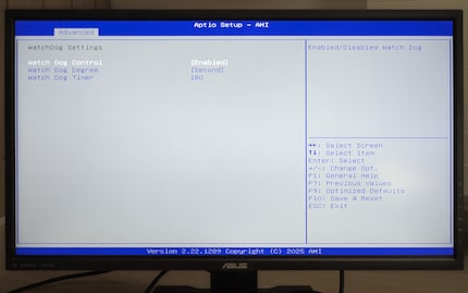 Prima di installare un SO alternativo, devi disattivare Watch Dog nel BIOS. Altrimenti, il NAS si riavvierà da solo dopo tre minuti senza UGOS Pro.
