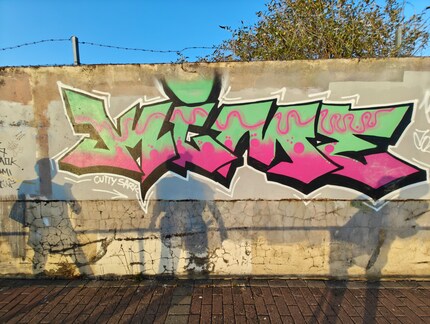 Il sentiero lungo il Tamigi sarebbe stato troppo stretto per catturare l'intero murale con la fotocamera principale.