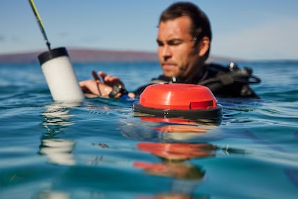 La boa promette un migliore orientamento sott'acqua e il monitoraggio dell'immersione nell'app.