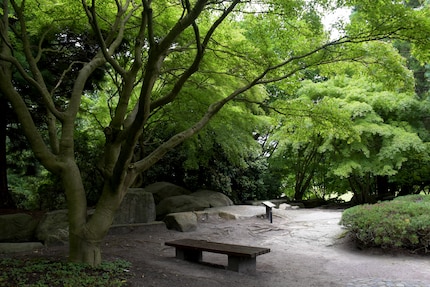 Empty and open areas like on «Fuji» are what make the Japanese garden perfect.
