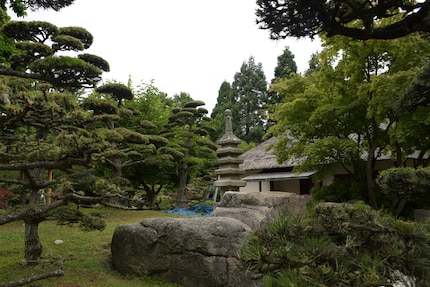 Green in green in green: Everything looks harmonious in colour in the Japanese garden.