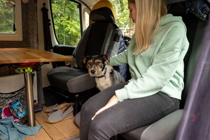 Ari prefers sitting between the seats up front or hanging out in his den under the bed.