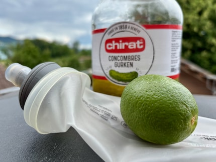 Doit-on mettre des concombres acides et du jus de citron vert dans mon flask ? 