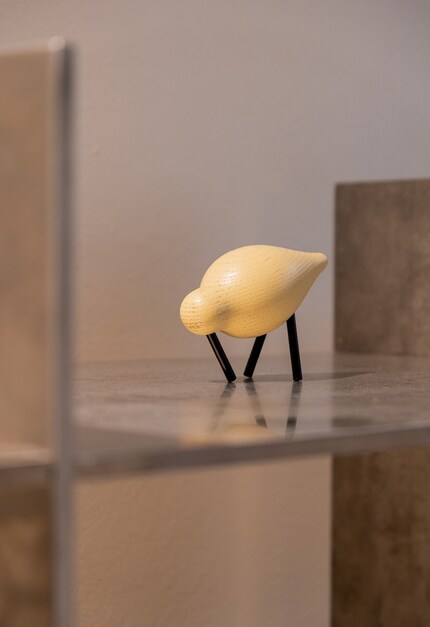 De kustvogels zien er nog zachter uit dankzij de kleur.