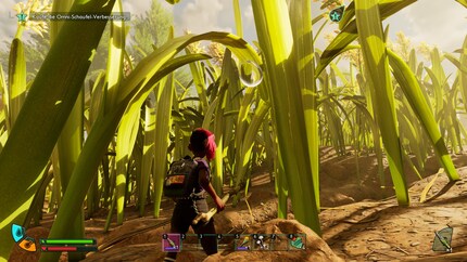 I find it difficult to orientate myself in a forest like this.