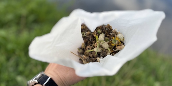 Anna Sandner Anna Sandner