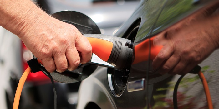 Shutterstock/Marc Stephan Shutterstock/Marc Stephan