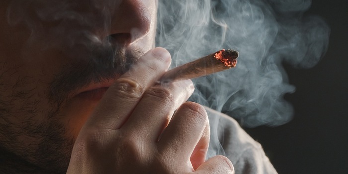 Shutterstock / 24K-Production Shutterstock / 24K-Production