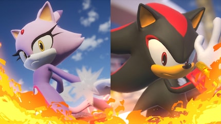 Blaze e Shadow sono solo una delle tante coppie di rivali possibili.