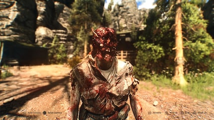 Nichts für schwache Nerven.