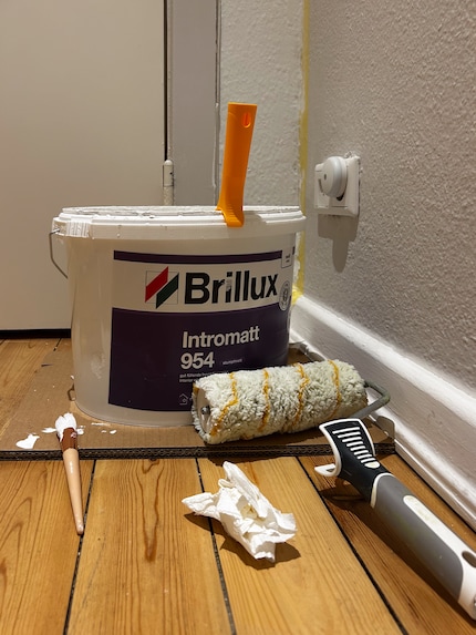 Brillux vs. Anna von Mangoldt : qui gagne?