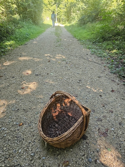 The next few hours will show whether our search for mushrooms has been successful.