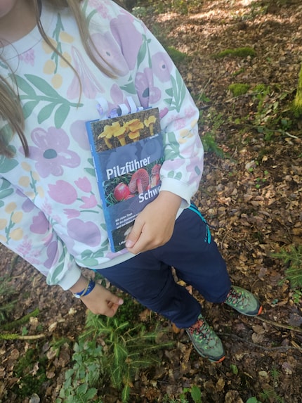 My daughter has a mushroom guide with her. Thanks to it, we can already make broad classifications.