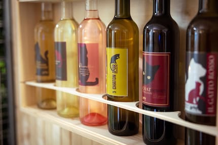 Chatbernet e Chaton D'Or: le etichette dei vini fatte da Elisabetta Morandi.