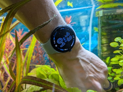 Beim Duschen, Schwimmen oder bei der Pflanzenpflege im Aquarium kann die Uhr bedenkenlos getragen werden. 
