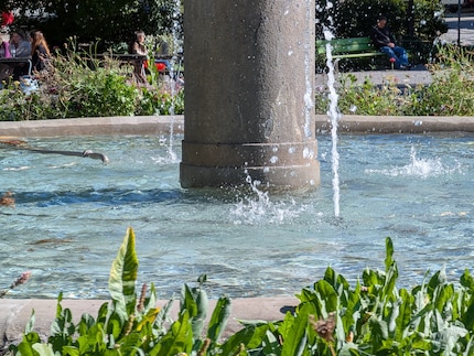 The 5x optical zoom’s also great.