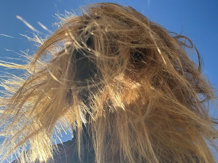 Il complesso di principi attivi che dovrebbe donare nuova lucentezza ai miei capelli si chiama «Baicapil».