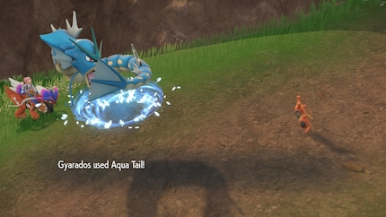 «Wet Tail» is nu een fysieke wateraanval.