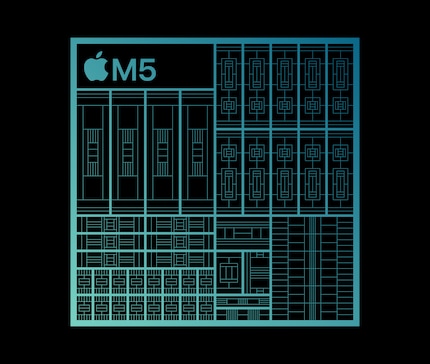 The schematic representation of the M5.