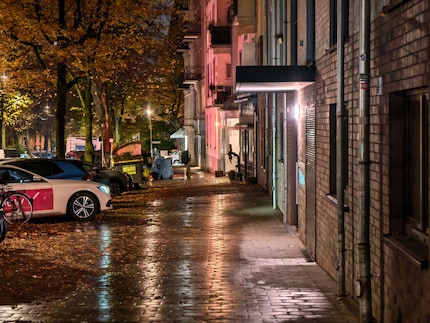 Die kleine Telekamera hat einen Nachtmodus mit längerer Belichtungszeit.