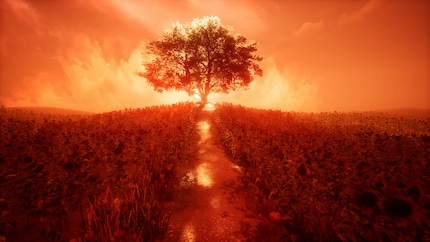 In meinen Träumen lande ich immer wieder vor diesem Baum. Was hat es damit auf sich?