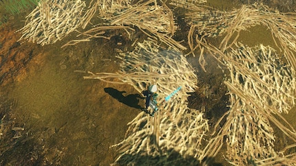 Warum liegt hier so niedrig aufgelöstes Stroh?