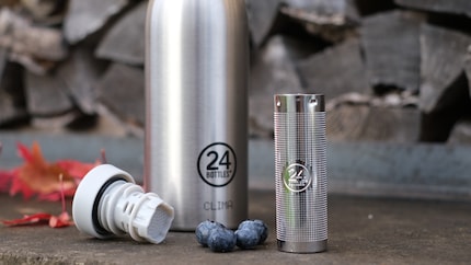 Blaubeeren für den Infuser: Sie passen rein, aber viel Geschmack bringt das nicht. Besser sind Zitronen.