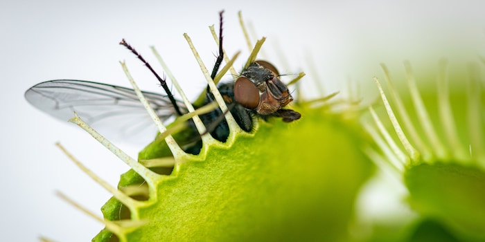 josehidalgo87/Shutterstock josehidalgo87/Shutterstock