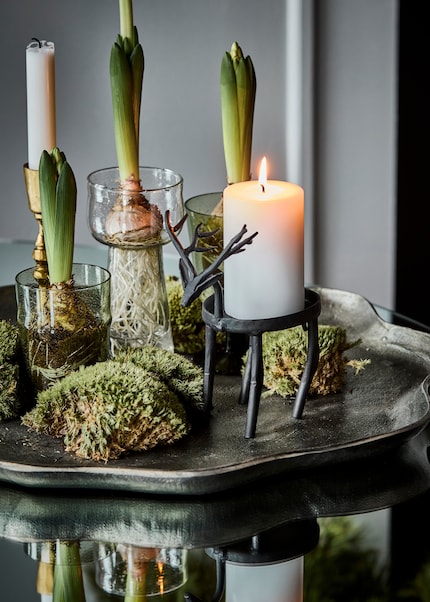 … oder Blumenzwiebeln ganz gross raus.