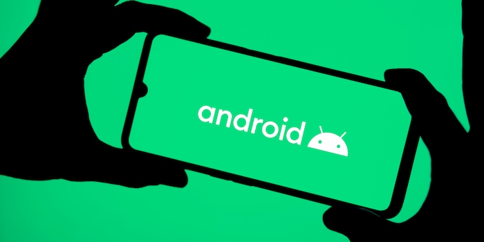 Shutterstock / Mamun_Sheikh