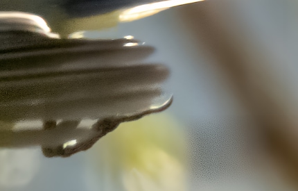 Ausschnitt aus obigem Bild (Version mit Aiarty). Im unteren rechten Bildbereich treten seltsame Muster auf, wahrscheinlich weil das Rauschen als gewollter Bildteil interpretiert wurde.