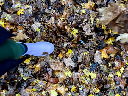 Und ab nach draußen!