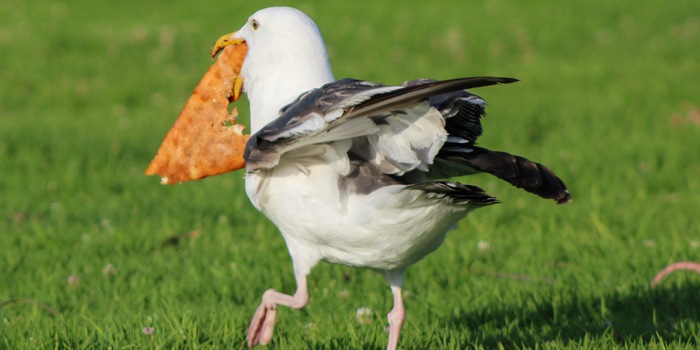 Shutterstock / Wirestock Creators