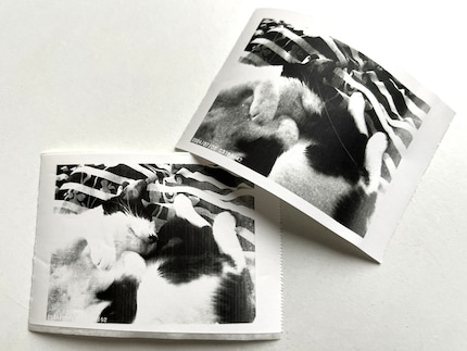 ... und gedruckt als Foto und Sticker.